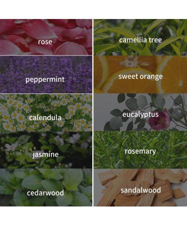 Lavender Fragrance Oil for Massage Sleep Bath Spa Skin and Hair Care Diffuser Essential Aromatherapy Oils Waterless Oil for Diffuser Easy to Nebulizer Lavender 0.33 Fl Oz (Pack of 1) - Buy Online on GoSupps.com