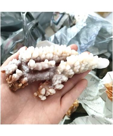 Natural Crystal Rough Rare Natural Raw Quartz Crystal Cluster Stones Crystal Point Home Decoration Raw Crystals (Size : 40-70g) - Buy Online on GoSupps.com