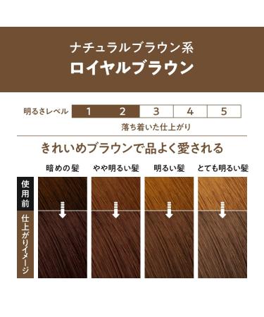 Prettia Kao Bubble Hair Color Royal Brown 11 - 3.38 fl oz - Buy Online on GoSupps.com