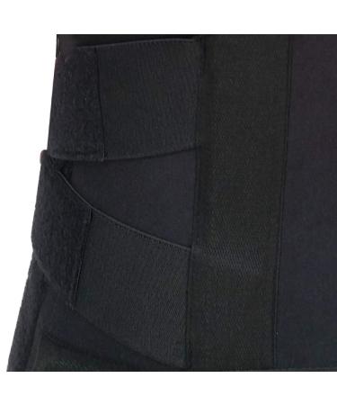 Dyna Taylor's Brace-Spine Support - Universal | Premium Back Support for All Body Types - International Shipping Available - Buy Online on GoSupps.com