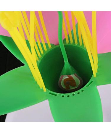 Portable Lifelike Plant Flower Anatomy Model with Display Base - Biology Teaching Aid - Buy Online on GoSupps.com