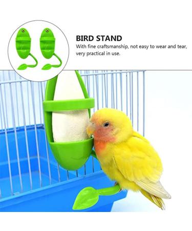 2Pcs Bird Parrot Cuttlebone Holder with Feeding Spoon Cuddle Bone Feeding Racks Cuttlefish Holder Stand Bird Feeder Station for Bird Food Supplies Vegetable Fruit Container - Buy Online on GoSupps.com