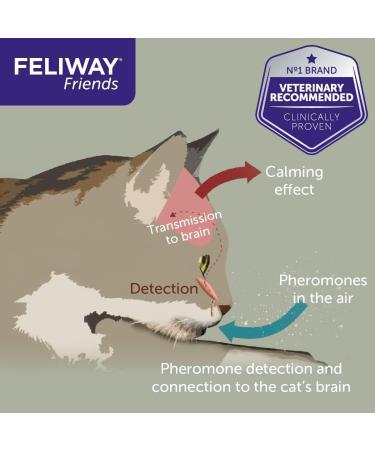FELIWAY Friends 30 Day Refill helps to reduce conflict in multi-cat households helping cats get along better - 48 ml (Pack of 3) Packaging may vary Red 48 ml (Pack of 3) - Buy Online on GoSupps.com