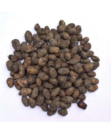 RAW HERB/JADI BOOTI JAMUN GUTHLI JAAMUN SEEDS SYZYGIUM CUMINI BLACK PLUM (500GM) - Buy Online on GoSupps.com