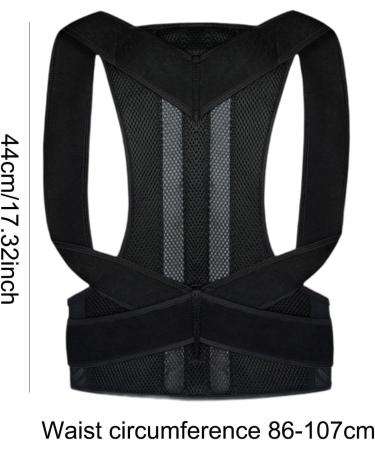 Generic Orthopedic Back Support Brace for Optimal Posture Alignment XL - Buy Online on GoSupps.com