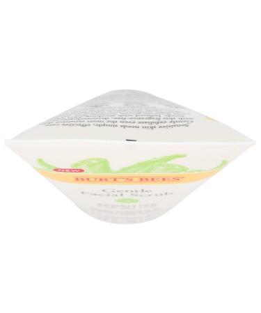 Burt's Bees Sensitive Gentle Facial Scrub 4 oz - Natural Skincare for Sensitive Skin - Buy Online on GoSupps.com