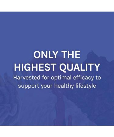 Host Defense Stamets 7 Extract Mushroom Supplement 2 fl oz - Daily Immune Support with Lion's Mane and Reishi - Pack of 1 - Buy Online on GoSupps.com