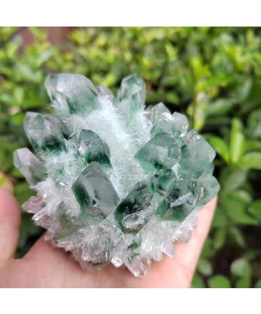 Natural Crystal Rough 1pc Natural Green Phantom Quartz Crystal Cluster Stone Ornaments 300G-900G for (Color : 1pc810g-900g Size : 1PC) 1PC 1pc810g-900g - Buy Online on GoSupps.com