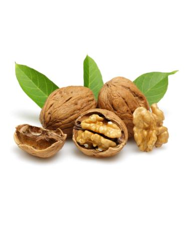 Walnuts in bowl premium 10 kg/*New harvest 2022*origin Chile*34-36 mm/ variety Chandler/ 100% natural/ without additives/ vegan/ gluten-free/ fresh/ extra large cores/ thin shell