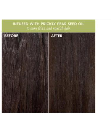 dae - Stargloss Shine Hair Gloss Treatment - Adds Shine & Smoothness - 6 oz - Buy Online on GoSupps.com