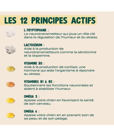 FRANKLIN Food Supplement for Dogs Calming Dog Anti-Stress Reduces Anxiety Natural Active Ingredients All Ages 100 Bites 150g - Buy Online on GoSupps.com