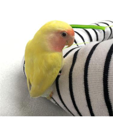 BESPORTBLE 3 Pcs 15 Bird Leash Parakeet Harness Bunny Leash Bunny Harness Cockatiel Leash Cockatiel Harness Size 5x3pcs As Shownx3pcs - Buy Online on GoSupps.com