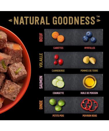 Cesar Barquettes Natural Goodness Terrine Wet Dog Food 4 Varieties Pack of 24 trays x 100 g - Buy Online on GoSupps.com