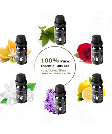 Ominihome 500ml Essential Oil Diffuser & 6 Essential Oils Set for Aromatherapy | Large Room Aroma Diffuser | Up to 20h | Teacher Gifts - Buy Online on GoSupps.com