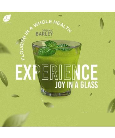 JC Barley Grass Juice Powder Organic Barley Leaf Juice Drink Mix Sweetened with Stevia -Organic Barley Grass Powder Harvested Fresh from New Zealand (3 Box) - Buy Online on GoSupps.com