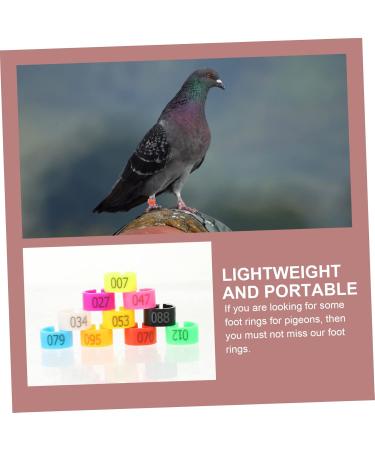 Sosoport 500 Pcs Pigeon Anklet Parrot Bird Chicken Id Bands Numbered Bands Label Meat Pigeon Abs 1.3X1.2X0.7CMx5pcs Colorfulx5pcs - Buy Online on GoSupps.com