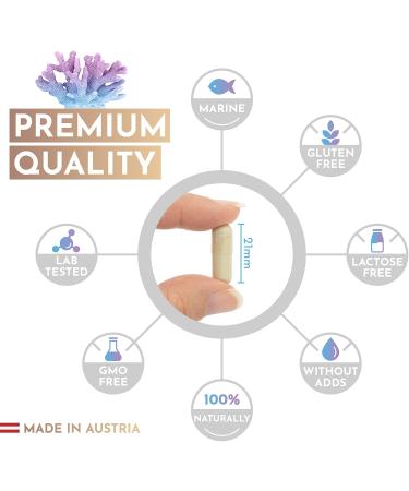 Premium Marine Collagen Kombo 1000mg + Q10 | Hyaluronic Acid Vitamins & Minerals for Healthier Skin & Hair | Made in Austria by Vroody - Buy Online on GoSupps.com