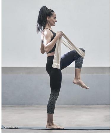 Shop HAPBEAR Resistance Bands - Best Exercise & Therapy Bands (5-30LBS) for Home Gym Yoga & Pilates - Skin-Friendly Durable & Versatile - Buy Online on GoSupps.com