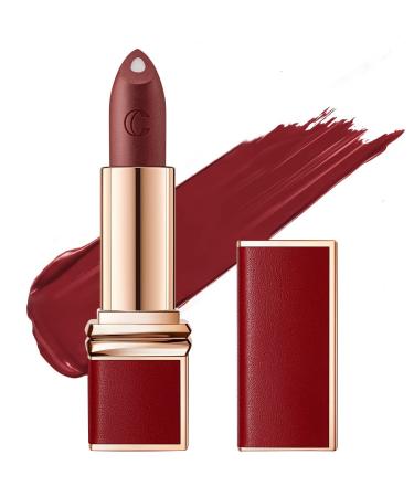CARSLAN Dual Core Moisturizing Lipstick  Longlasting Hydrating  High Pigmented Lip Color With Vitamin E and Olive Oil  10 Agate  Red