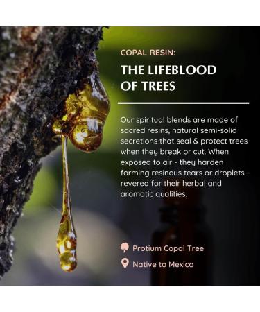 Copal Resin Essential Oil Diffuser Blend 30ml by Aromafume | Protium Copal (Burseraceae) Extract | Native to Mexico | Deepened Relaxation & an ambience for Rituals | Charged with Pure Resins - Buy Online on GoSupps.com