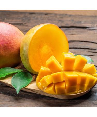 H2K Botanicals Calm Seas Cocoa Butter and Mango Calming Hand & Body Lotion 250ml - Buy Online on GoSupps.com