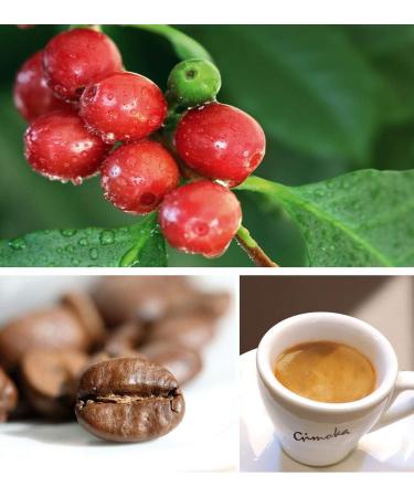  Gimoka Gimoka - Compatible with Lavazza - A Modo Mio - 144 capsules - Creamy taste - Intensity 10 - Made in Italy - Buy Online on GoSupps.com