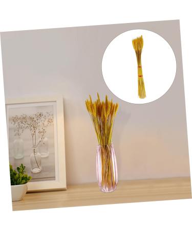 Abaodam 200 Pcs Dried Wheat Ears Bouquet Decked Dried Flower Bouquet Wheat Sheave Bundle Wheat Sheave Flower Wedding Decoration Wheat Stalk Ears of Wheat Gift Dried Flowers. Yellowx2pcs 52X10CMx2pcs - Buy Online on GoSupps.com