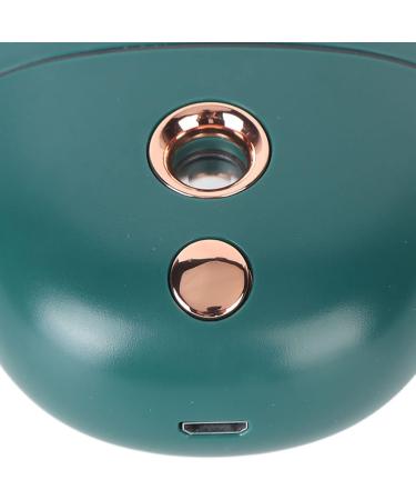 Facial Mist Sprayer Silent ABS Cute Animal Face Mist Humidifier USB Rechargeable 500mah for Office (Green) - Buy Online on GoSupps.com