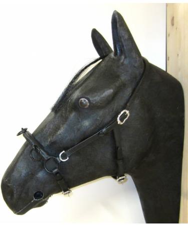Buy PS Horse French Cavesson Cavecon with D-Rings - Soft Full Brown with Gold Fittings | International Shipping Available - Buy Online on GoSupps.com