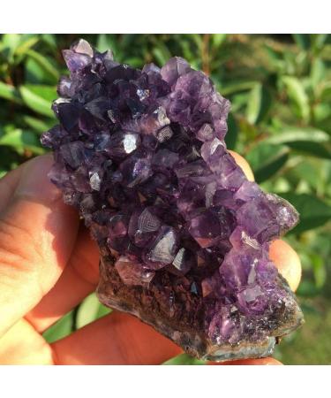 Natural Crystal Rough Natural Amethyst Quartz Crystal Cluster Specimen 80g - Buy Online on GoSupps.com