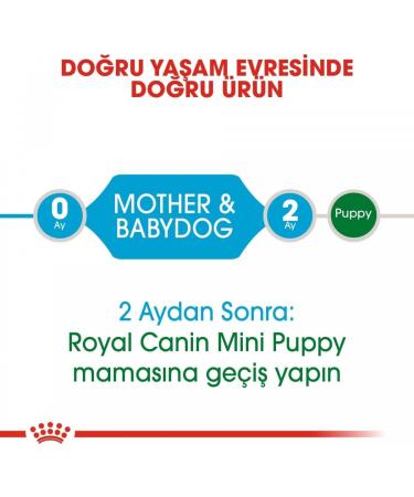 Royal Canin Mini Starter Mother & Babydog 4kg - Buy Online on GoSupps.com