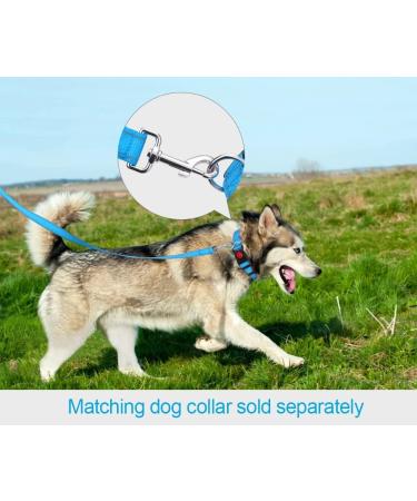 Taglory Reflective Dog Leash for Medium & Large Dogs - Padded Handle Supports 10-75kg 1.2m x 2.5cm Himmel Blue - Perfect for International Shipping - Buy Online on GoSupps.com