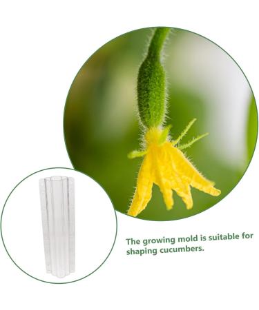 Toddmomy Garden Fruit Mould 8 Pcs Vegetable Shaping Mold Cucumbers Fruit Mold Fruit and Vegetable Suite Gourd - Buy Online on GoSupps.com