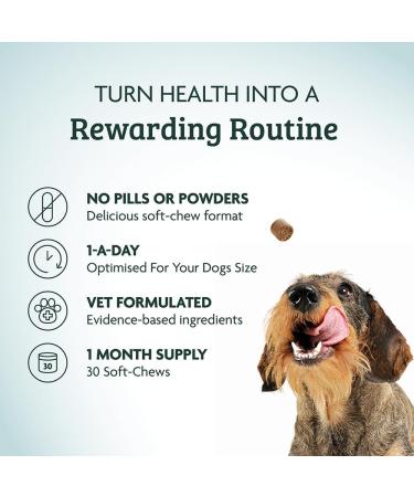 OMNI Anal Glands Dog Supplements - Vet Grade One-a-Day Soft Chew for Healthy Stools - Medium Dog 15-35kg - Buy Online on GoSupps.com