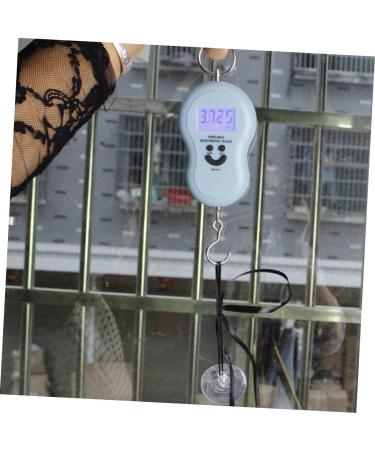 ABOOFAN Transparent Sucker Cup 140pcs Wedding Ornaments Suckers to Window Vacuum Cups Suction Universal Glass Sucker Door DIY 4*4CM As Shown - Buy Online on GoSupps.com