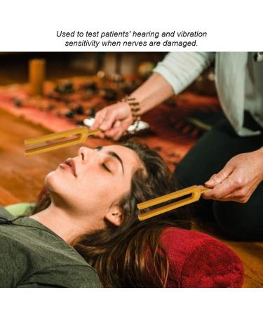 Tuning Fork Sound Vibration Therapy Strong Voice for Physics Experiments Teaching - Buy Online on GoSupps.com