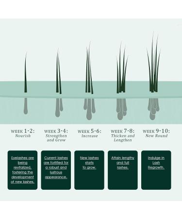 TUDPA Lash Serum:Boost lash length thickness and strength with TUDPA's advanced natural eyelash growth serum. 0.1 Fl. Oz (3 mL)(Green) - Buy Online on GoSupps.com