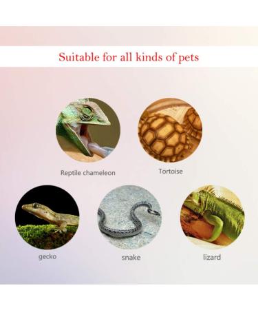 POPETPOP 2 Pack Digital Reptile Thermometer and Humidity Gauge Switchable Celsius Fahrenheit Lizard Spider Tortoise Terrarium Tank Hygrometer (Black Battery Included) - Buy Online on GoSupps.com