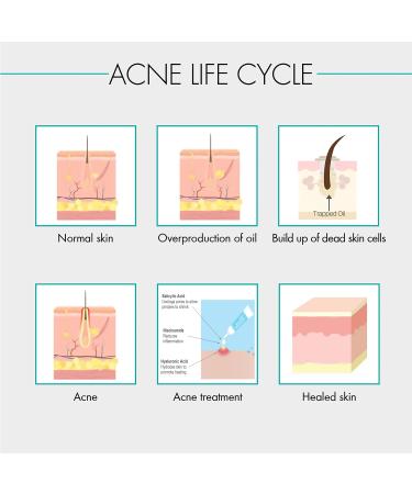 Buy Majestic Pure Face Cream (1.7 Oz) - Hydrating Skincare for All Skin Types | International Shipping Available - Buy Online on GoSupps.com