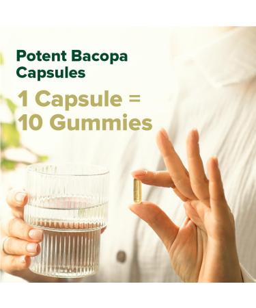 VAHDAM Bacopa Monnieri Capsules 1000mg | Supports Cognitive Performance | High Strength Made with Herbs & Extract | 90 Veg Capsules - Buy Online on GoSupps.com