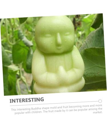 KICHOUSE Plastic Fruit 2pcs Mould Apple Small Fruit Buddha Vegetable Mold Duddha Forming Tools For Pear - Buy Online on GoSupps.com