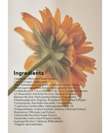 AROMATICA Calendula Juicy Cream - Vegan Moisturizer with 48% Calendula Extract for Soft Hydration | Ideal for Sensitive to Normal Skin Types | For Itchy and Rough Skin - 02 Calendula - Buy Online on GoSupps.com