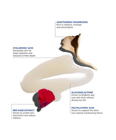 Jack Black Hydration Booster Serum - Boost Skin Hydration | International Shipping Available - Buy Online on GoSupps.com