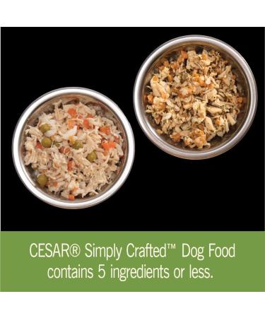 CESAR Simply Crafted Wet Dog Food Chicken Carrots & Green Beans - Chicken Sweet Potato Apple Barley & Spinach 8x37g Variety Pack - Buy Online on GoSupps.com
