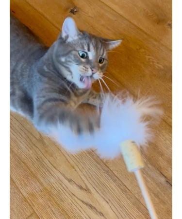 Premium Federwedel Cat Toy - Handmade in Germany | Sustainable Beech Wood & Natural Feathers for Eco-Friendly Cat Fishing - Buy Online on GoSupps.com