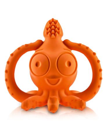 CaaOcho Pure Natural Rubber Baby Teether - Sqwiddle The Squid - Without Holes BPA Free Gum Massager Toy  Textured for Sensory Play  Sealed Hole  Hole Free  Reaches Molars