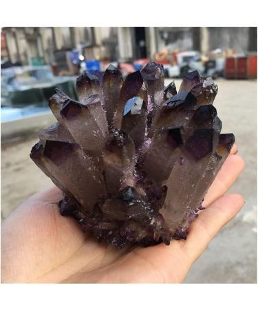 Room Decoration Natural Crystal Cluster Brown and Purple Specimen Purple Quartz Stone Raw Crystal Home Decor Beautiful (Size : 400-500g) - Buy Online on GoSupps.com