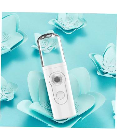 Didiseaon 1Set Beaut Visage Vapeur Portable Abs Blanc Voyage Visage - Buy Online on GoSupps.com