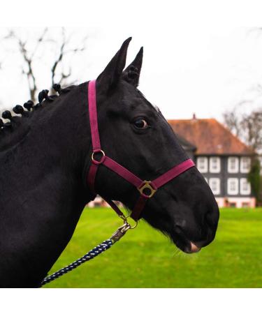 Halter for horse warmblood thoroughbred cold blood - stable halter pasture 2 compartment adjustable to chin straps and neck pieces safe & tearproof (Bordeaux Shetland Pony (Shetty)) Bordeaux Shetland Pony (Shetty)