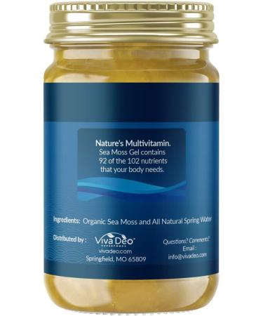 Viva Deo Pure Sea Moss Gel - Raw Wildcrafted Organic Irish Moss - 16 oz Unflavored | Made in USA | Dr Sebi Inspired - Buy Online on GoSupps.com